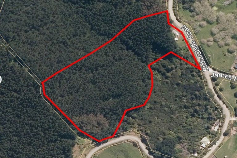 Photo of property in 800 Bickerstaffe Road, Maungaturoto, 0587