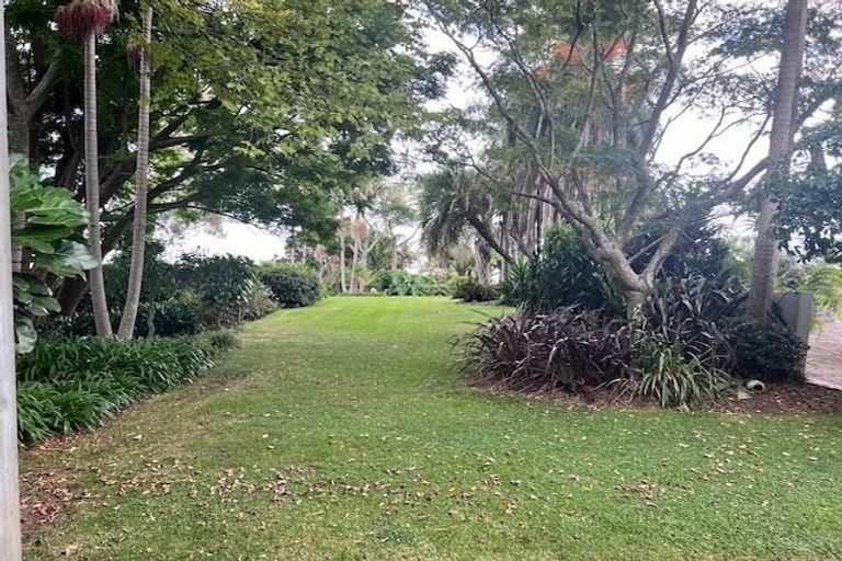 Photo of property in 313 Pahoia Road, Whakamarama, Tauranga, 3172