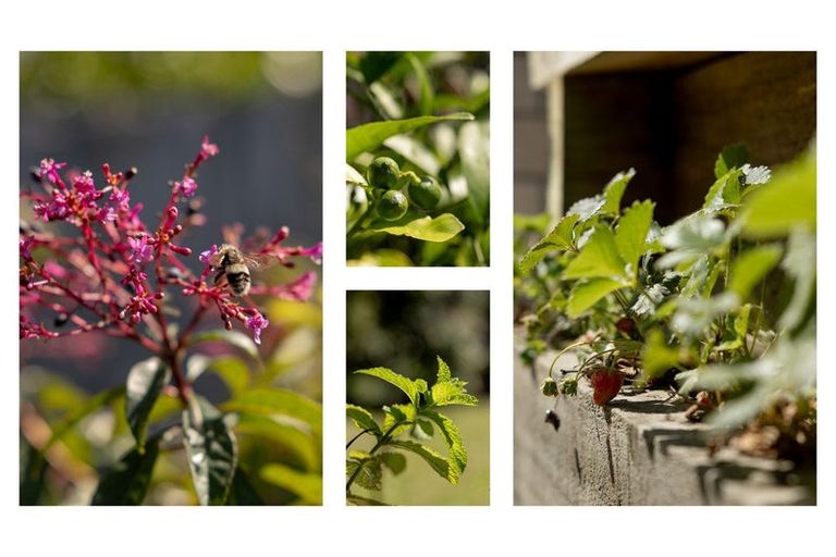 Photo of property in 88 Sentinel Avenue, Omokoroa, 3114