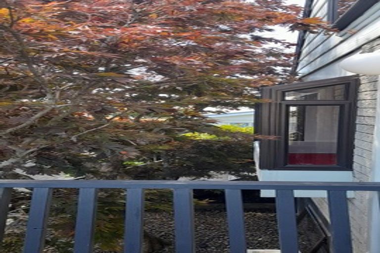 Photo of property in 40b Manson Street, Gate Pa, Tauranga, 3112