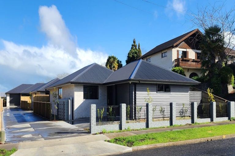 Photo of property in 1/3 Alexandra Avenue, Morrinsville, 3300