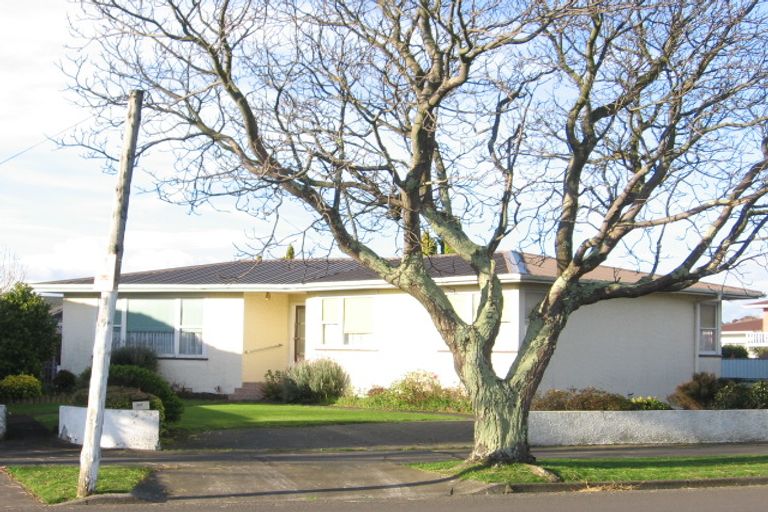 Photo of property in 347 Ruahine Street, Terrace End, Palmerston North, 4410