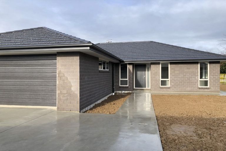 Photo of property in 15 Barry Curtis Place, Levin, 5510