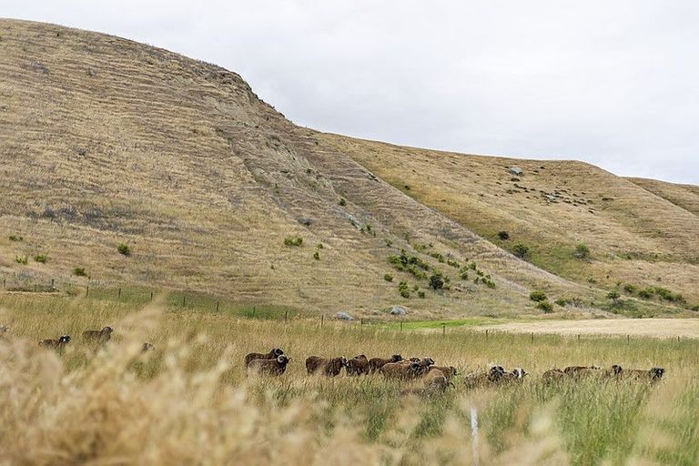 Photo of property in 1061 Ardgour Road, Tarras, Cromwell, 9383