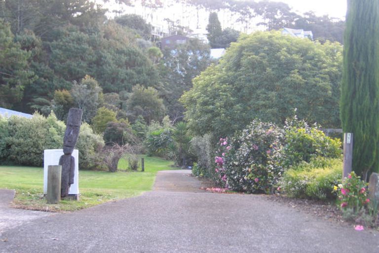 Photo of property in 113 Onemana Drive, Onemana, Whangamata, 3691