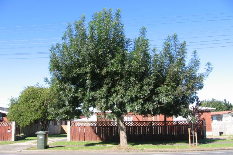 Photo of property in 116 Arapuni Street, Putaruru, 3411