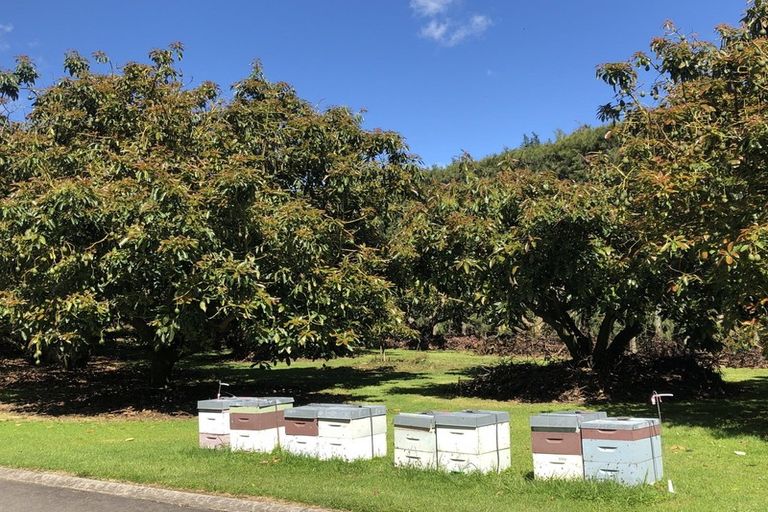 Photo of property in 237b Busby Road, Tahawai, Katikati, 3170