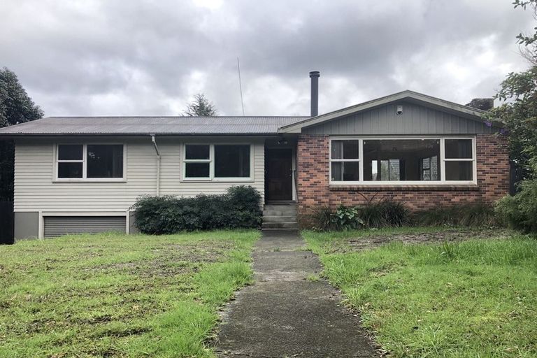 Photo of property in 52 Kingdale Road, Henderson, Auckland, 0610