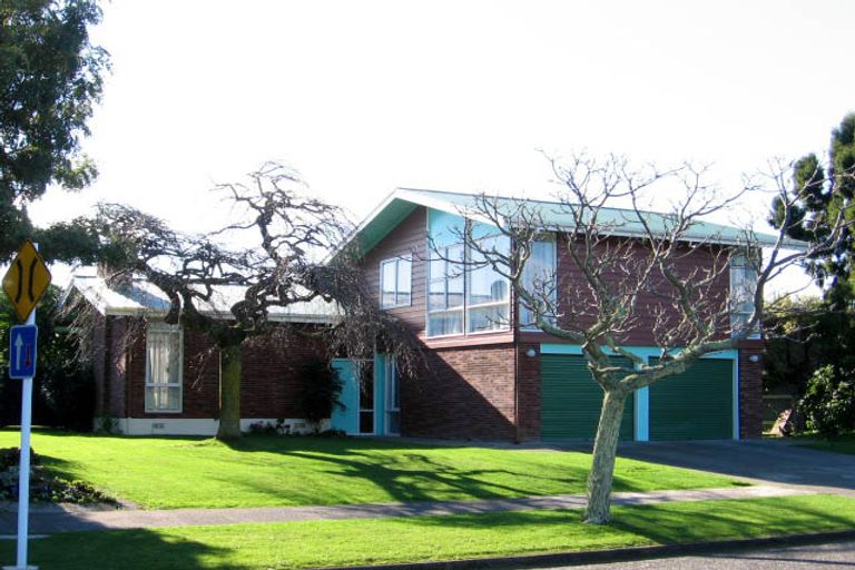 Photo of property in 101 Dittmer Drive, West End, Palmerston North, 4412