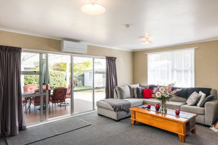 Photo of property in 145 Stanford Street North, Ashhurst, 4810