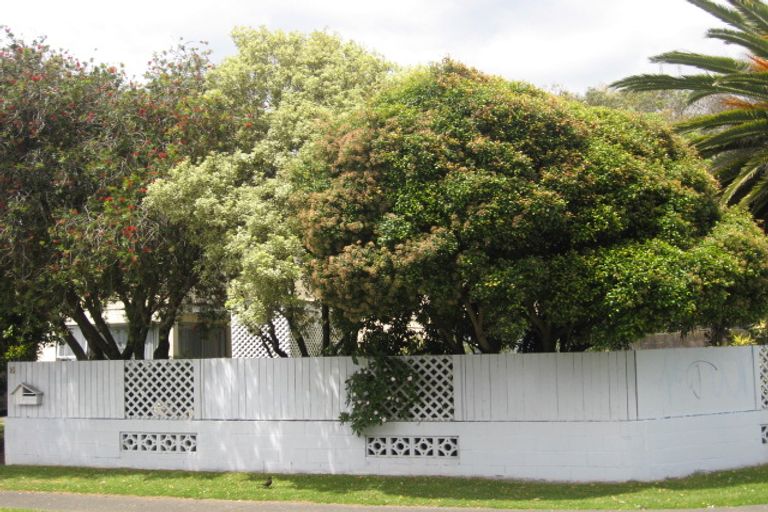 Photo of property in 16 Burbank Avenue, Manurewa, Auckland, 2102