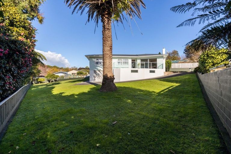 Photo of property in 28 Elizabeth Place, Ferndale, New Plymouth, 4310