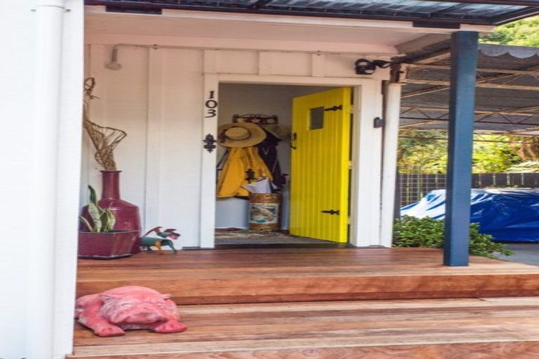 Photo of property in 103 Ash Street, Thames, 3500