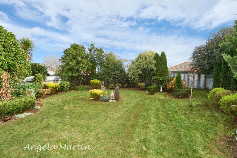 Photo of property in 20 Ihle Street, Terrace End, Palmerston North, 4410