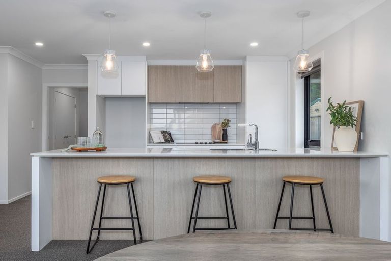 Photo of property in 79 Hinemoa Street, Levin, 5510