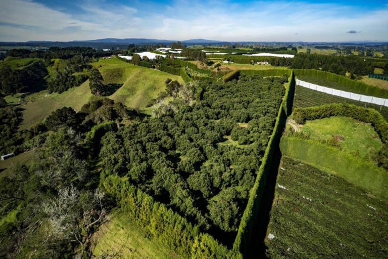 Photo of property in 154b Stockton Road, Pukehina, Te Puke, 3186