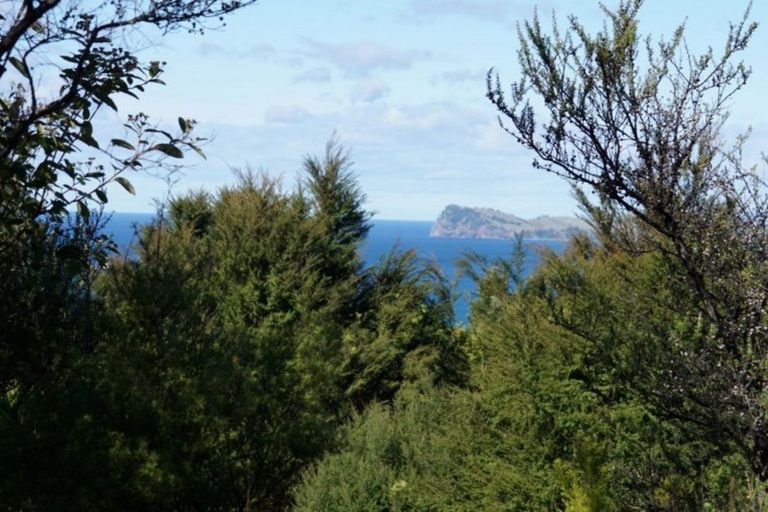 Photo of property in 180 Pumpkin Hill Road, Pumpkin Hill, Whitianga, 3591