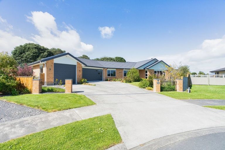 Photo of property in 28 Barry Curtis Place, Levin, 5510