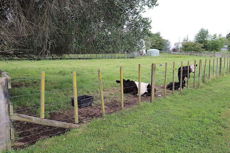 Photo of property in 511b Ngaruawahia Road, Te Kowhai, Hamilton, 3288