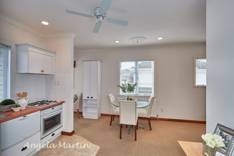 Photo of property in 20 Ihle Street, Terrace End, Palmerston North, 4410