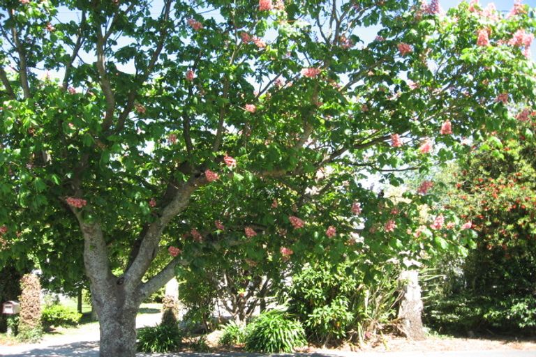 Photo of property in 17 Owen Road, Inner Kaiti, Gisborne, 4010