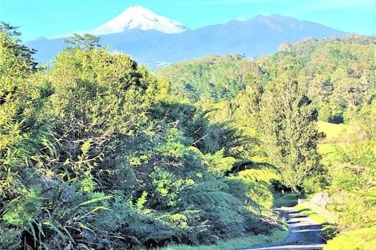 Photo of property in 280 Koru Road, Koru, New Plymouth, 4374