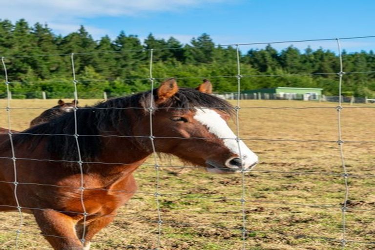 Photo of property in 326 Taieri Beach Road, Taieri Beach, Taieri Mouth, 9091
