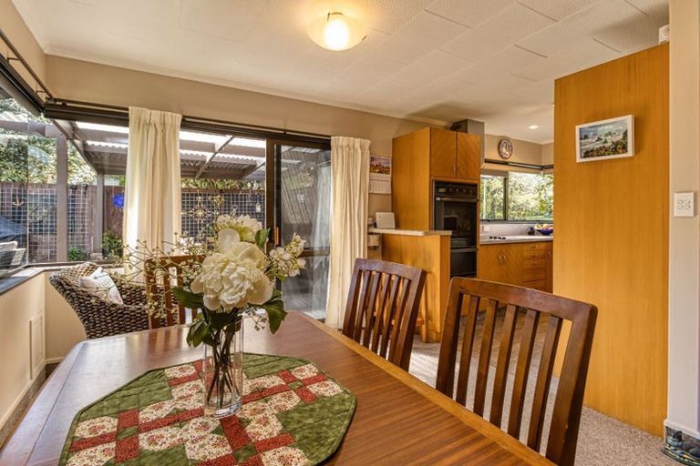 Photo of property in 23 Tanner Street, Havelock North, 4130