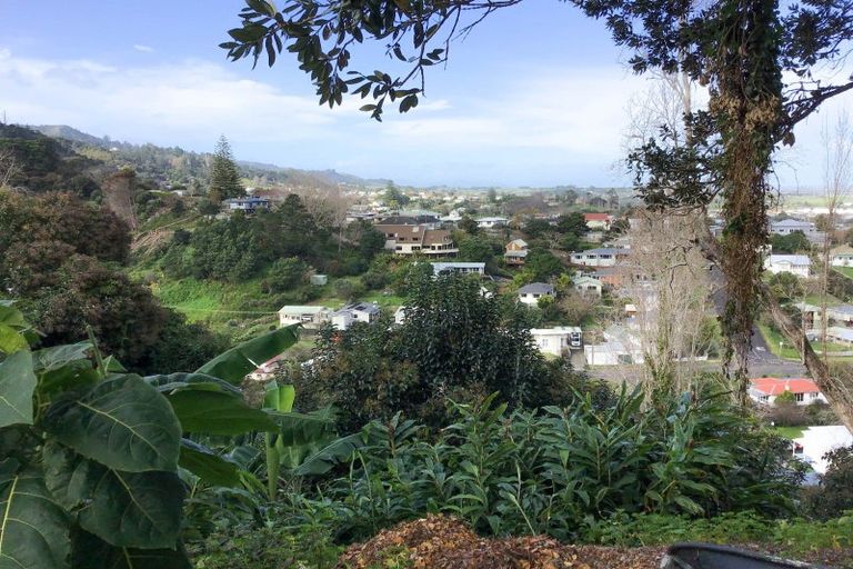 Photo of property in 119 Irishtown Road, Thames, 3500