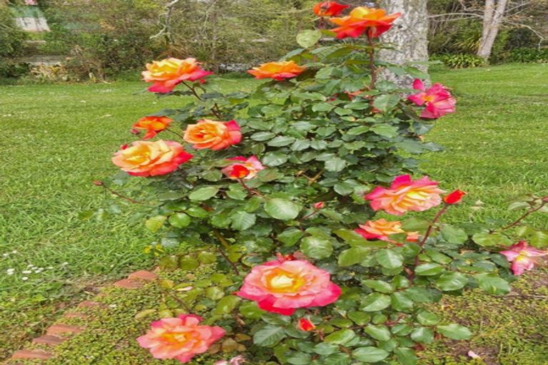 Photo of property in 917 Port Albert Road, Wellsford, 0973