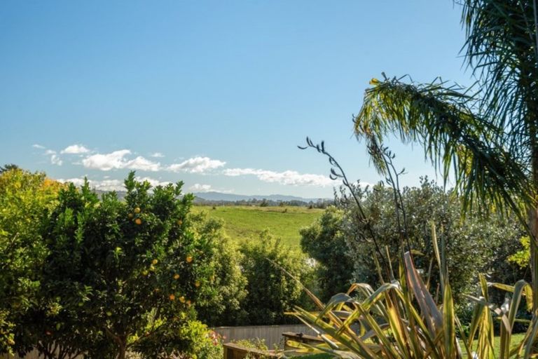 Photo of property in 197 Rowesdale Drive, Ohauiti, Tauranga, 3112