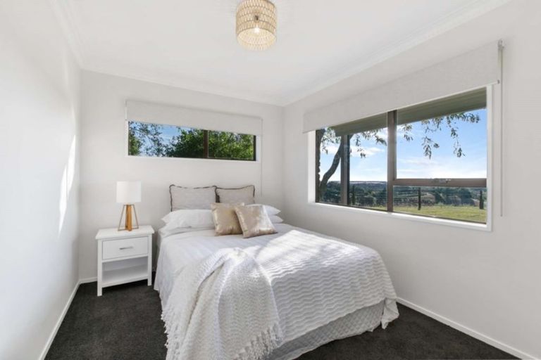 Photo of property in 157 Esdaile Road, Whakamarama, Tauranga, 3180