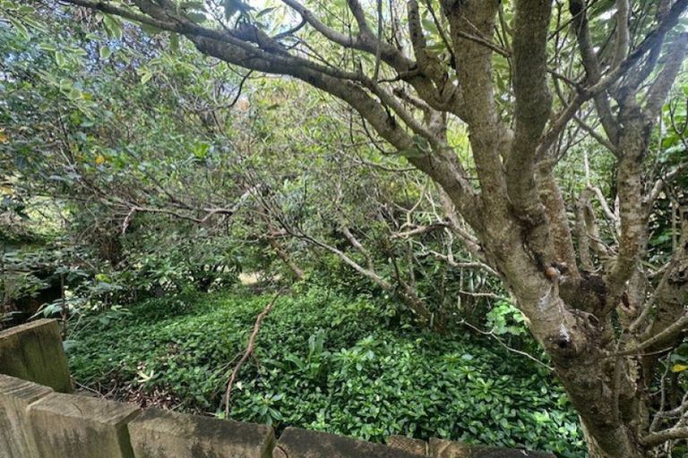 Photo of property in 17 Garfield Street, Brooklyn, Wellington, 6021