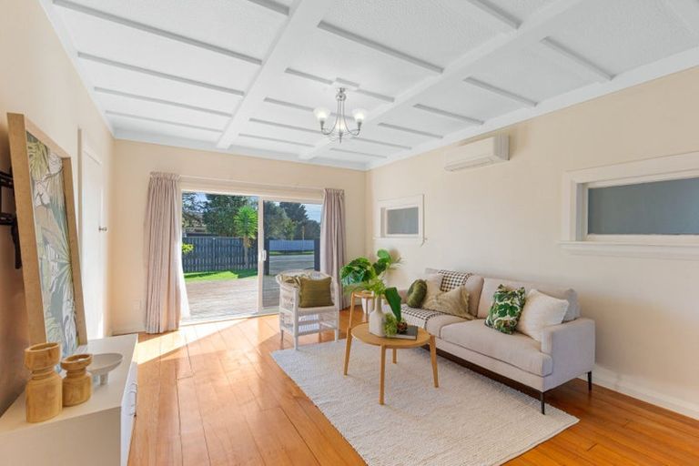 Photo of property in 36 Salisbury Street, Levin, 5510