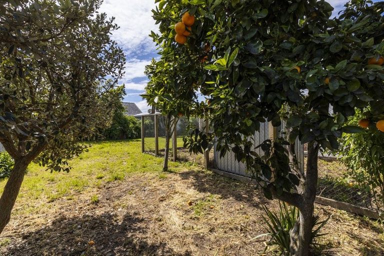 Photo of property in 59 Mowat Street, Springlands, Blenheim, 7201