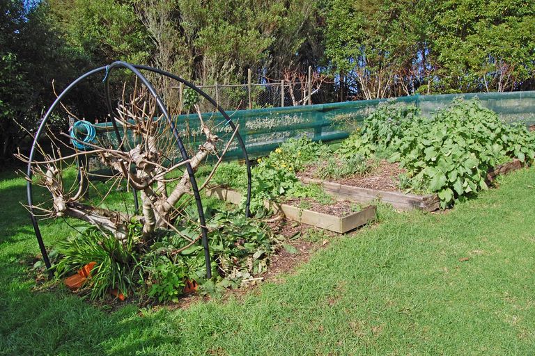 Photo of property in 210a Pukenui Road, Kaiwaka, 0573