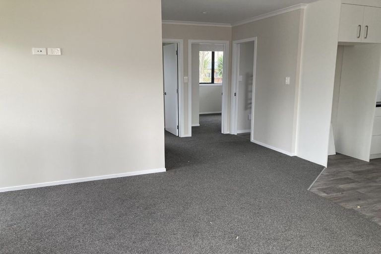 Photo of property in 20 Brocas Avenue, Hillcrest, Hamilton, 3216