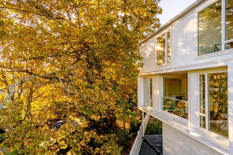 Photo of property in 1/2 Woodstock Road, Fairfield, Hamilton, 3214