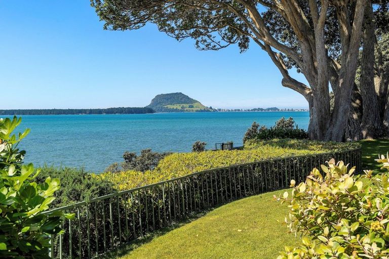 Photo of property in 41 Woods Avenue, Matua, Tauranga, 3110