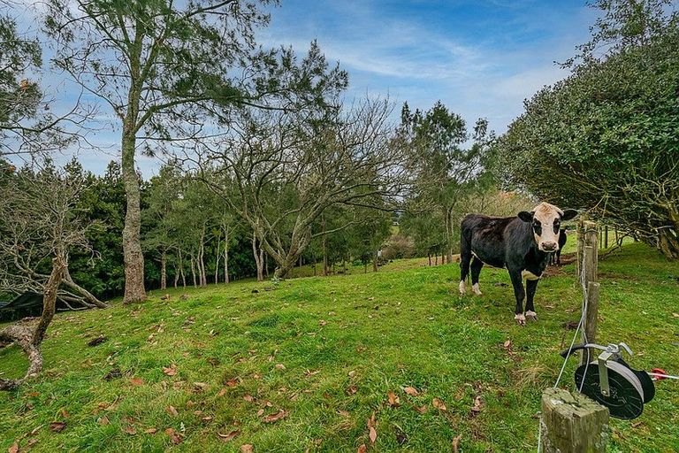 Photo of property in 87 Pukekauri Road, Waikino, Waihi, 3682