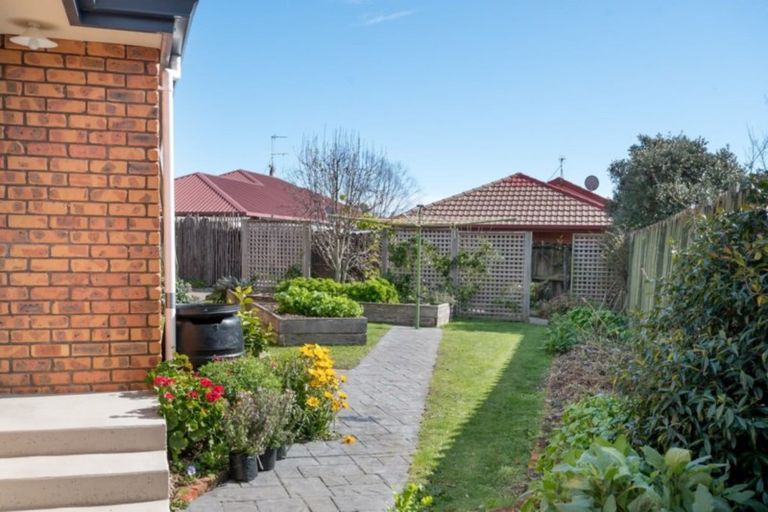 Photo of property in 53 Chelsea Avenue, Richmond, 7020