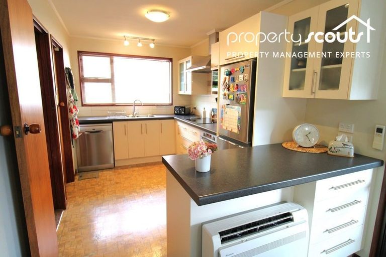 Photo of property in 17 Cawdor Place, Waverley, Dunedin, 9013