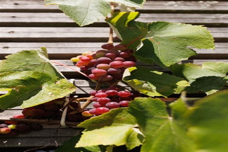 Photo of property in 158 North Avon Road, Richmond, Christchurch, 8013