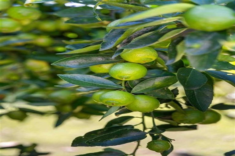 Photo of property in 46 Herbert Drive, Whangamata, 3620