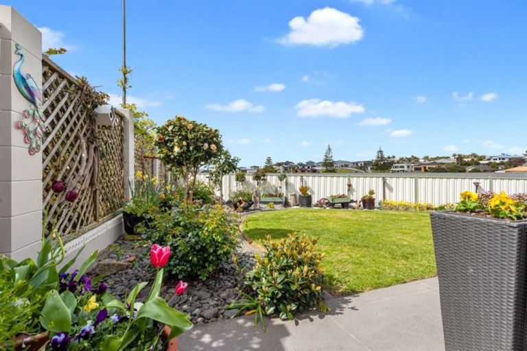 Photo of property in 19 The Glebe, Coastlands, Whakatane, 3120