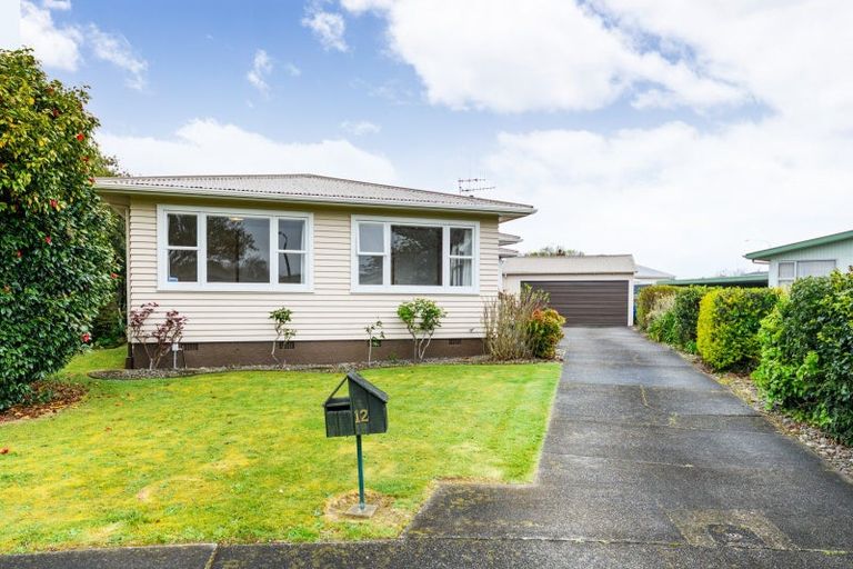 Photo of property in 12 Edwards Place, Terrace End, Palmerston North, 4410