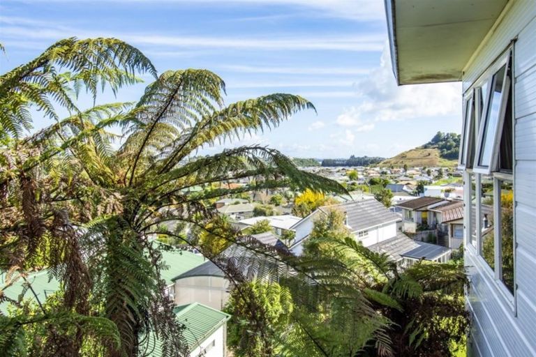 Photo of property in 345 Waihi Road, Brookfield, Tauranga, 3110