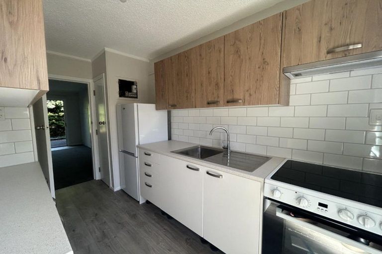 Photo of property in 6/289 Ulster Street, Whitiora, Hamilton, 3200