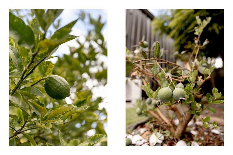 Photo of property in 248 Range Road, Papamoa Beach, Papamoa, 3118