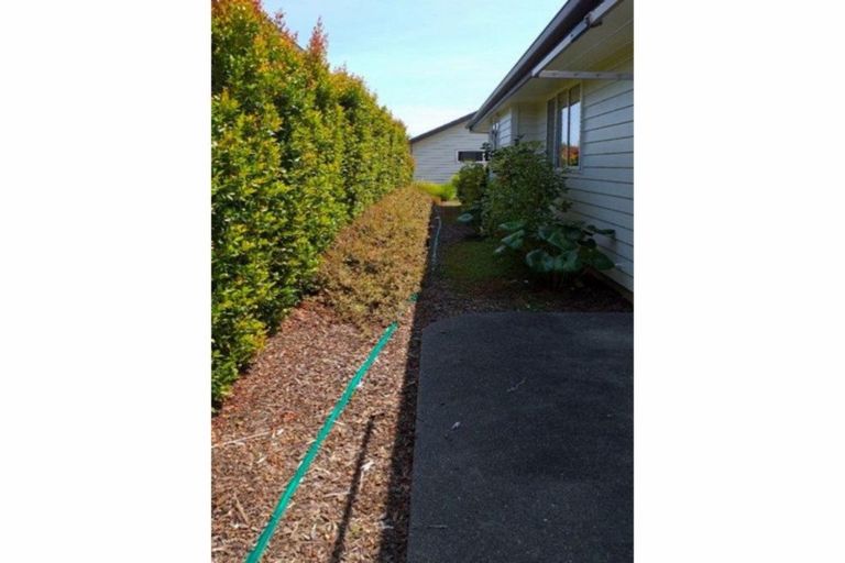 Photo of property in 2 Kuching Lane, Kerikeri, 0230